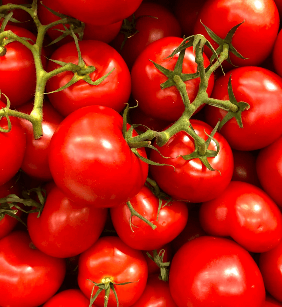 tomatoes, 