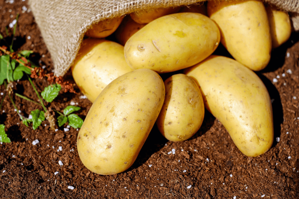 potatoes, 