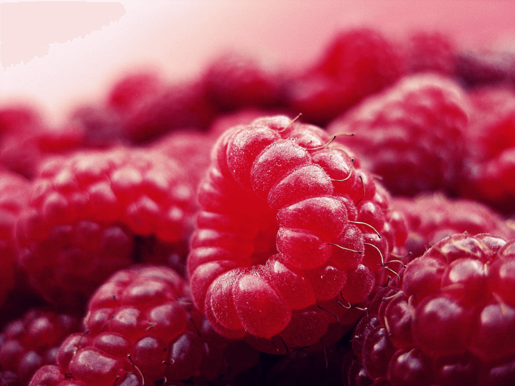 raspberries, 